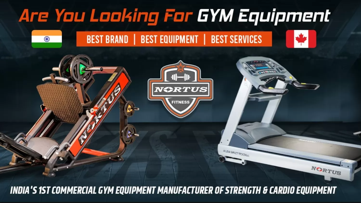 Nortus Fitness Popular 10 Commercial Strength Equipment