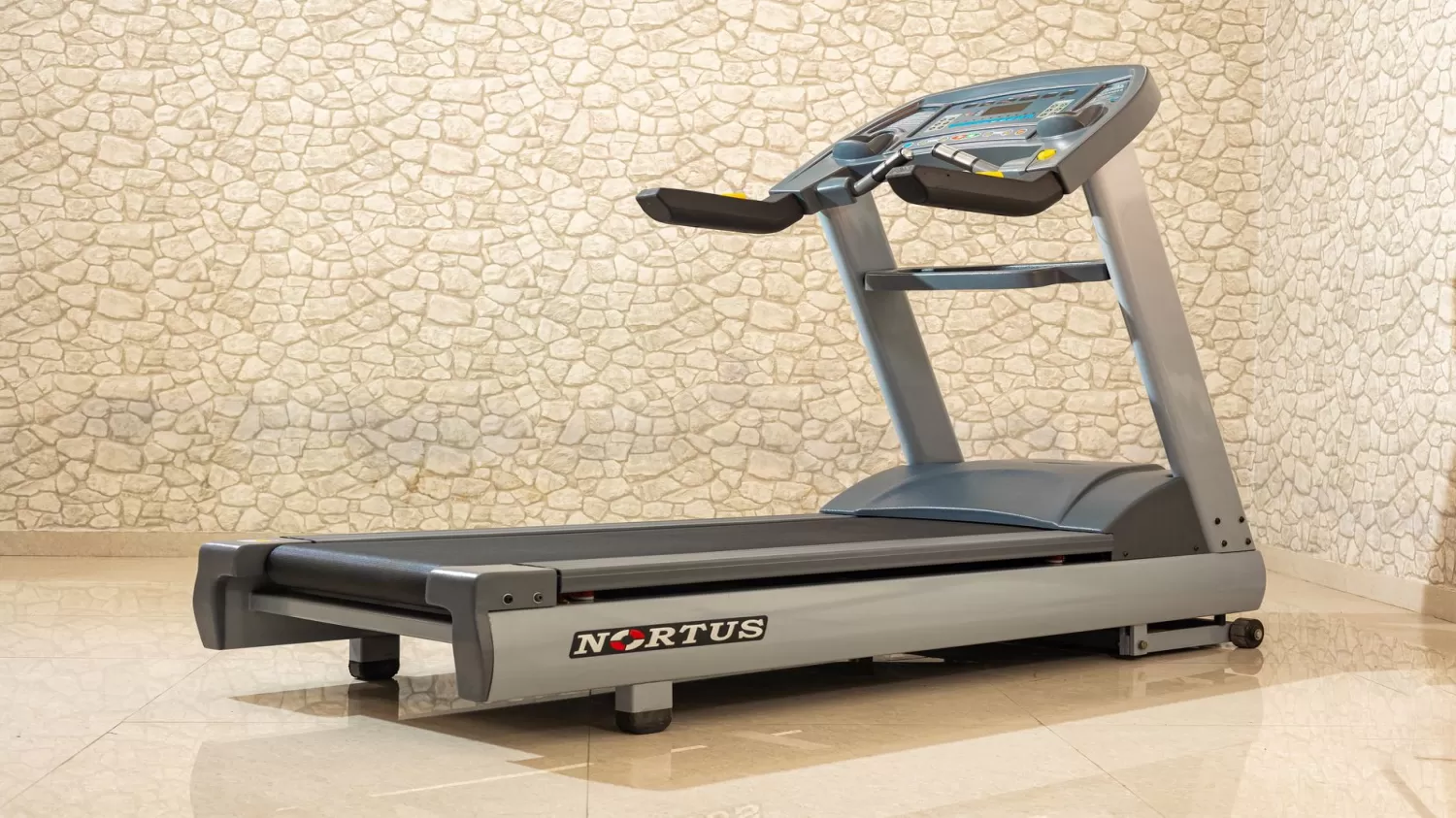 Invest in Excellence – Top Commercial Gym Equipment Brand in India